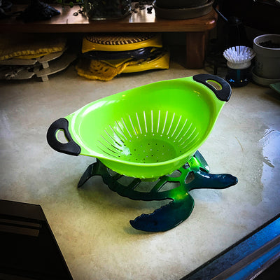 Turtle Trivet / Table Sitter