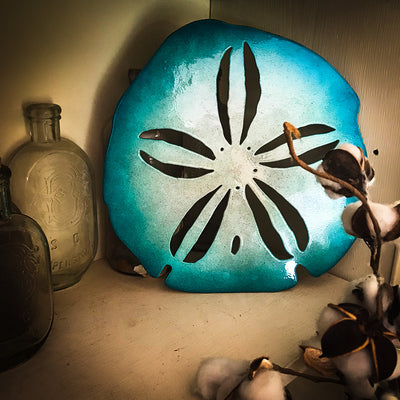 Sand dollar wall hanging / Trivet