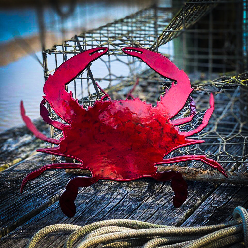 Coastal crab Metal trivet / wall art