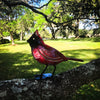 Cardinal Porch / Garden Sitter