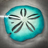 Sand dollar wall hanging / Trivet