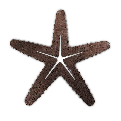 Starfish wall hanging / trivet